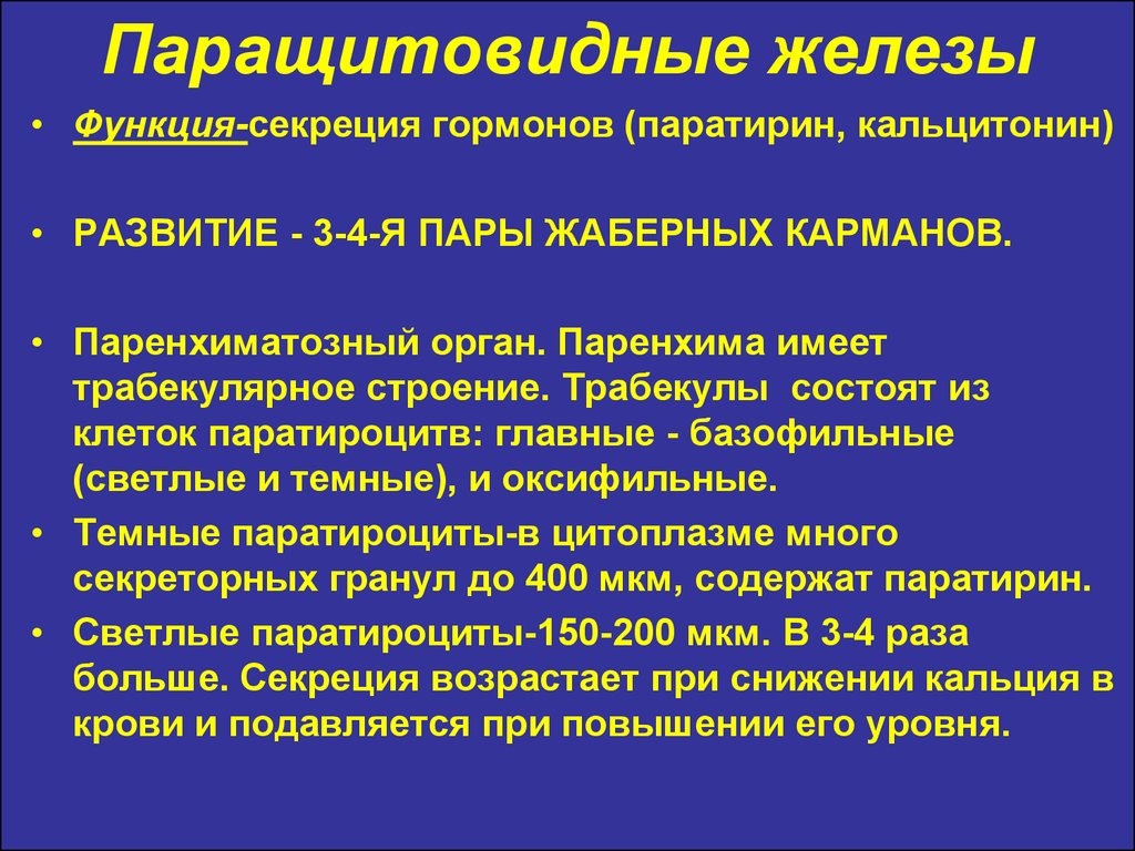 Гормоны паращитовидных желез. Паратирин гормон. Паратирин. Кальцитонин 35. Паратирин вызывает.