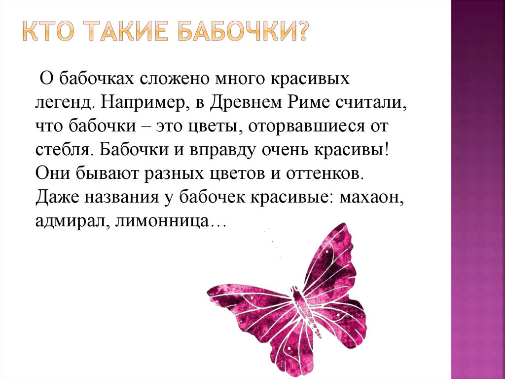 Бабочки относятся к группе. Бабочки для презентации. Легенда о бабочке для детей. Кто такие бабочки. Бабочка краткое описание.