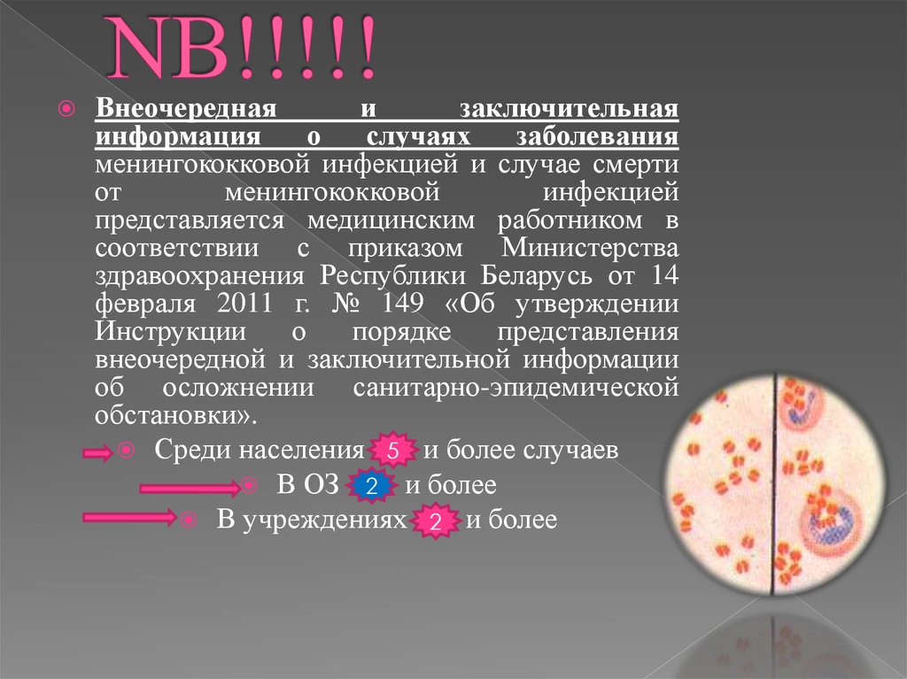 Анализ на менингококковую инфекцию. Профилактика менингококковой инфекции. Менингококковая инфекция сестринский уход. Черные звезды на попе менингококковой инфекции.