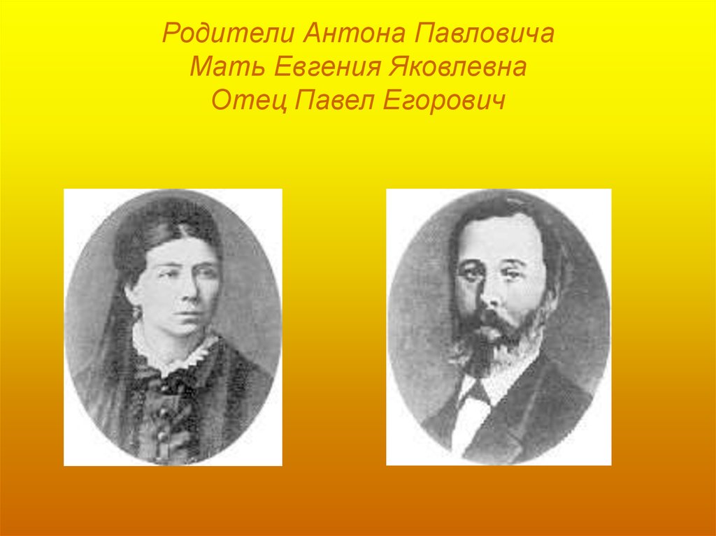 А п чехов родители. Родители Чехова Антона Павловича. Мать Антона Павловича Чехова.