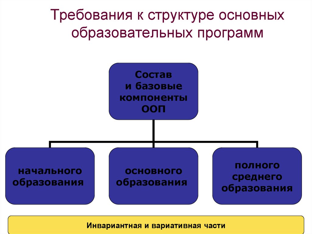 Общая структура программ. Компоненты ООП. Содержательные компоненты общеобразовательной программы. Фундаментальное строение. Компоненты начального образования.