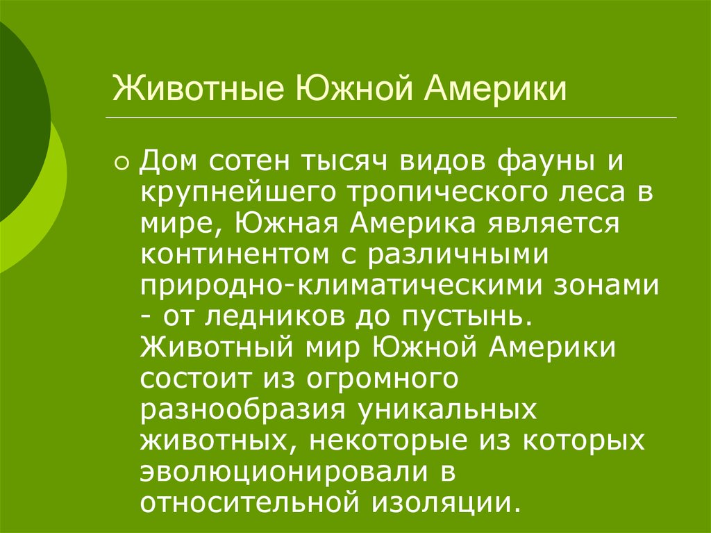 Животный мир южной америки 7 класс. Животный мир Южной Америки презентация. Животный мир Южной Америки сообщение. Доклад о животных Южной Америки. Животные Южной Америки доклад.