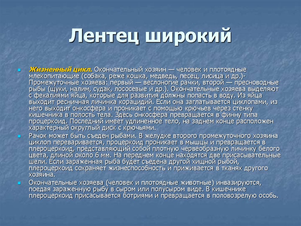 Хозяин широкого лентеца. Жизненный цикл широкого лентеца. Широкий лентец жизненный цикл. Широкий лентец жизненный. Особенности жизненного цикла широкого лентеца.