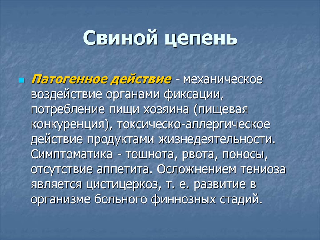 Свиной цепень презентация