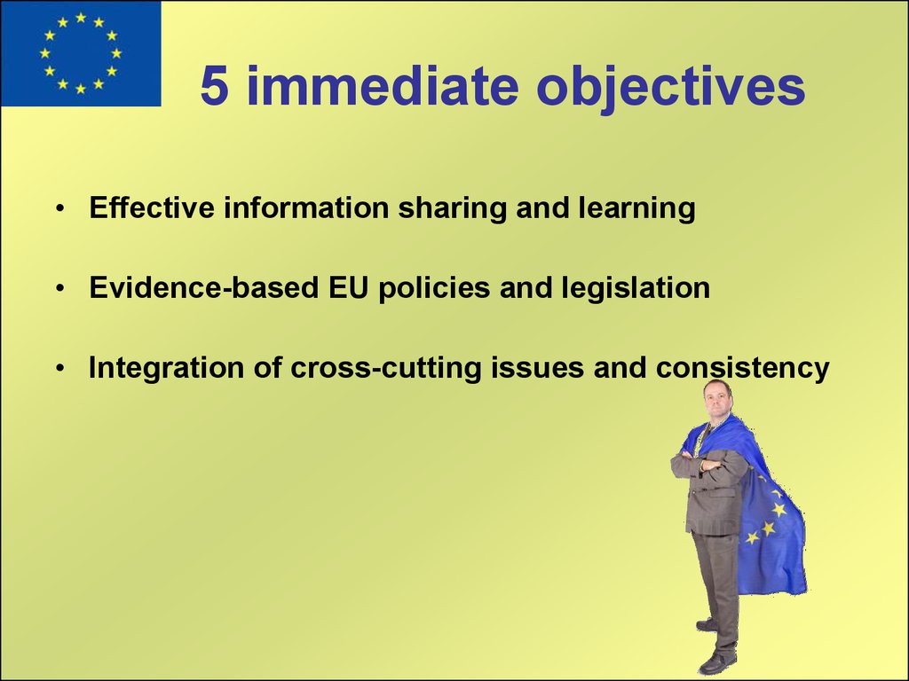 5 immediate objectives