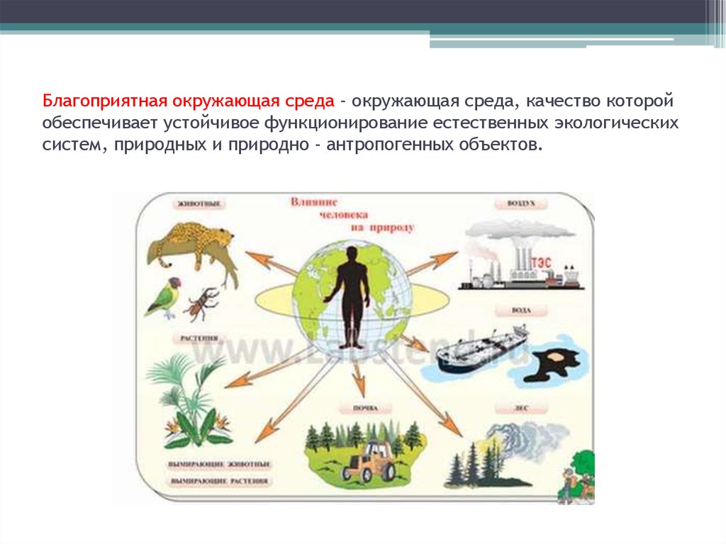 Природная среда определяет. Взаимосвязь человека с окружающей средой. Взаимосвязи организмов и окружающей среды. Взаимосвязи организмов и окружающей среды схема. Схема человек и окружающая среда.