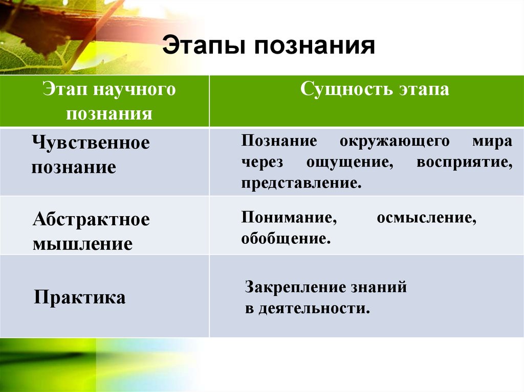 Восприятие осмысление обобщение закрепление применение. Формы и этапы познания. Этапы познания. Этапы процесса познания. Этапы познания мира.