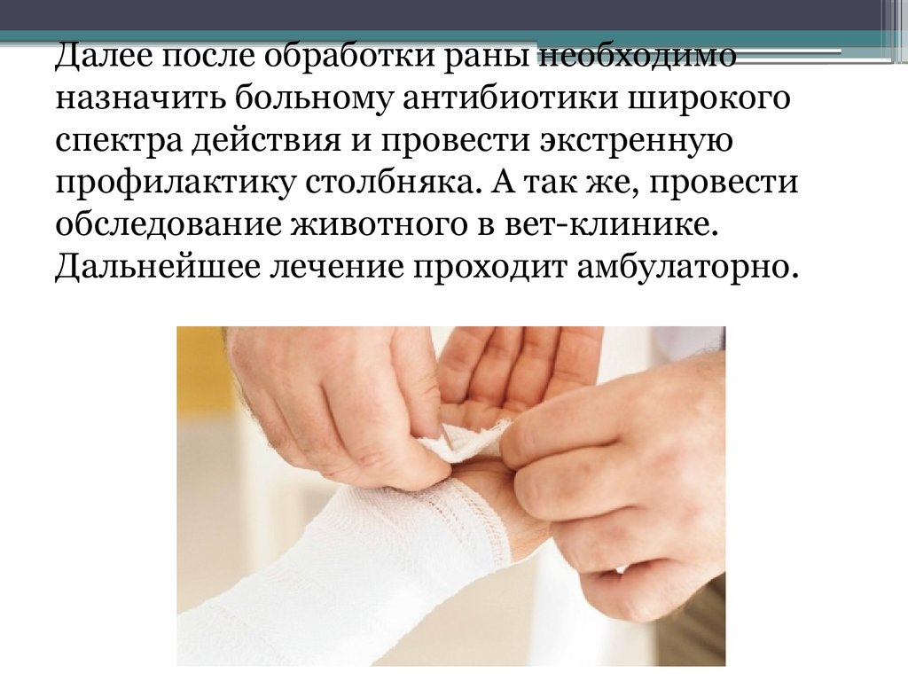 Далее после. Обработка укушенных РАН. Первичная обработка укушенных РАН. Алгоритм обработки укушенных РАН.