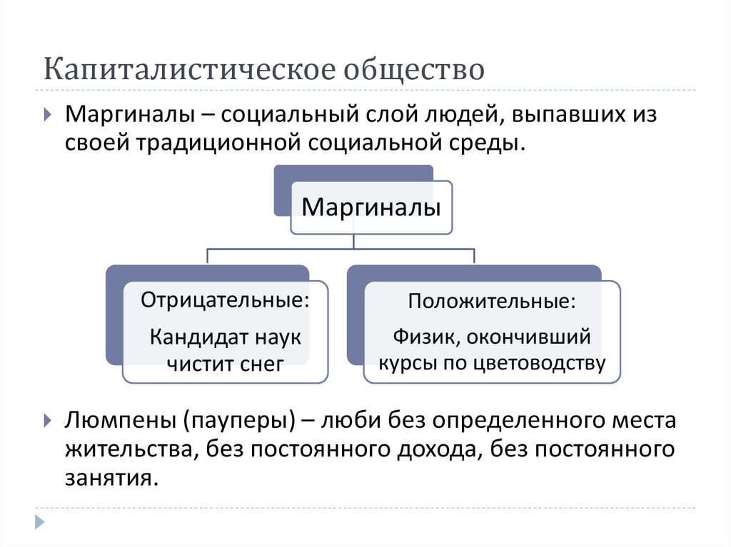 Структура общества представлена