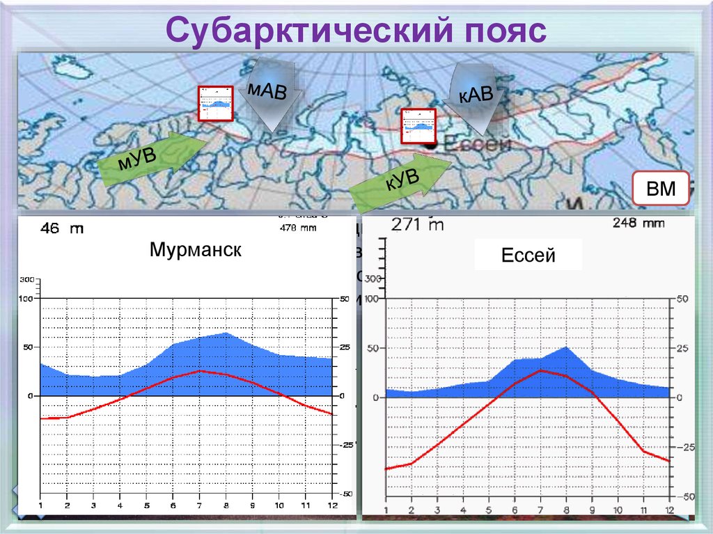 Субарктический климат презентация