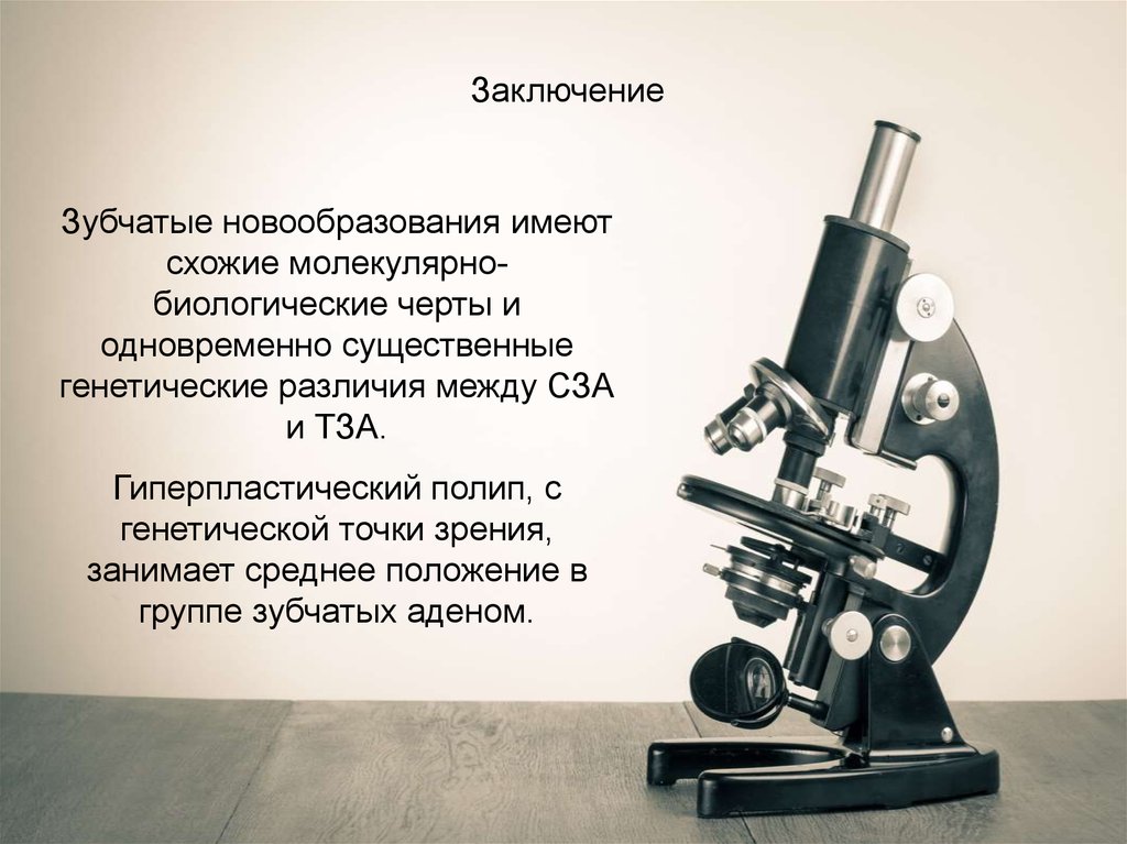 Заключение