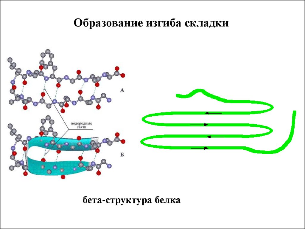 Образование кривизны