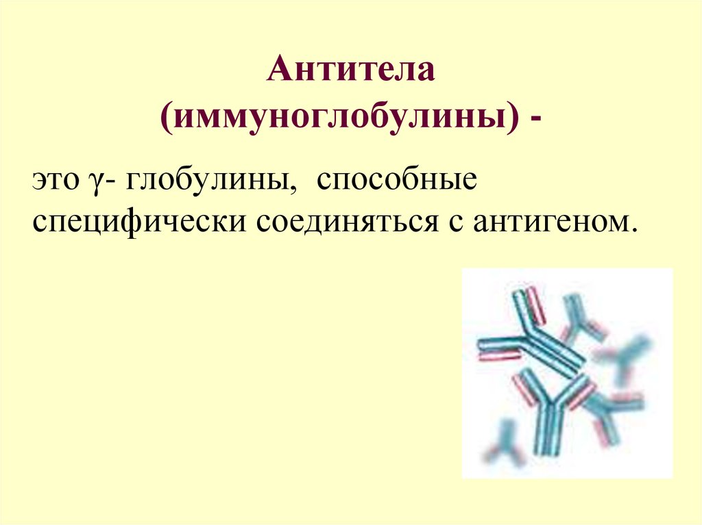 Микробиология антитела презентация