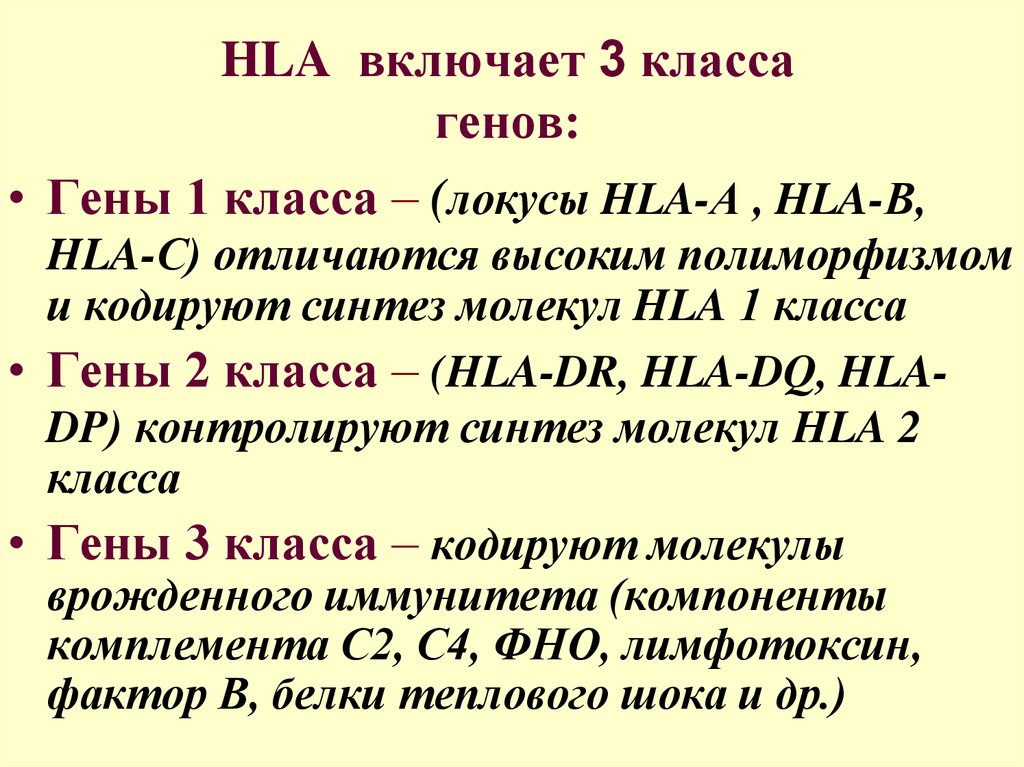 HLA включает 3 класса генов.
