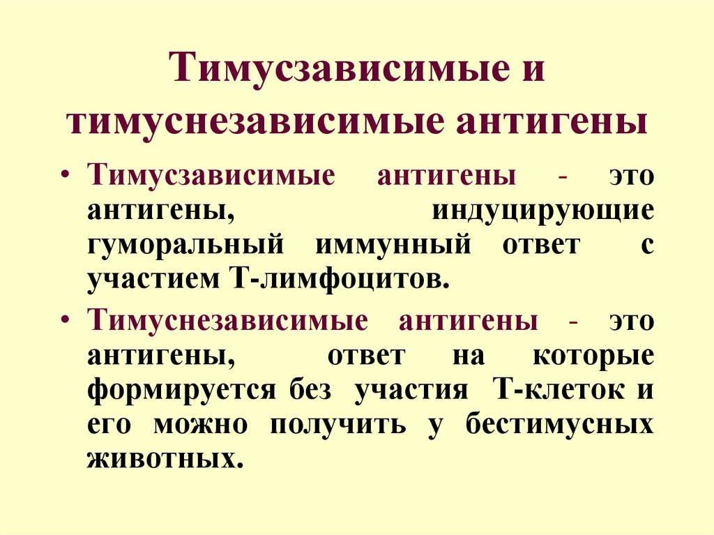 Антигены это. Корпускулярные антигены. Корпускулярные и растворимые антигены. Тимусзависимые и тимуснезависимые зоны. Тимус зависимые и независимые антигены.