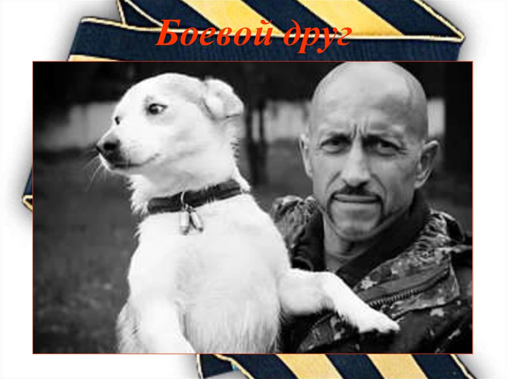 Боевой друг