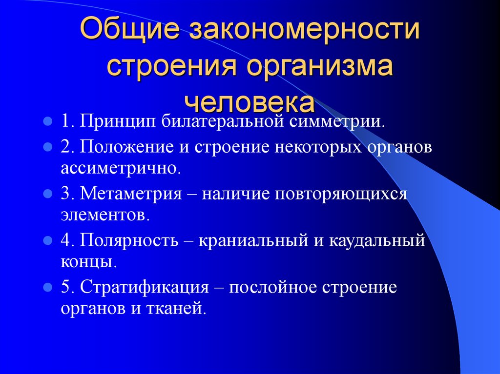 Какие закономерности можно. Закономерности строения организма. Закономерности строения тела человека. Принципы строения организма.