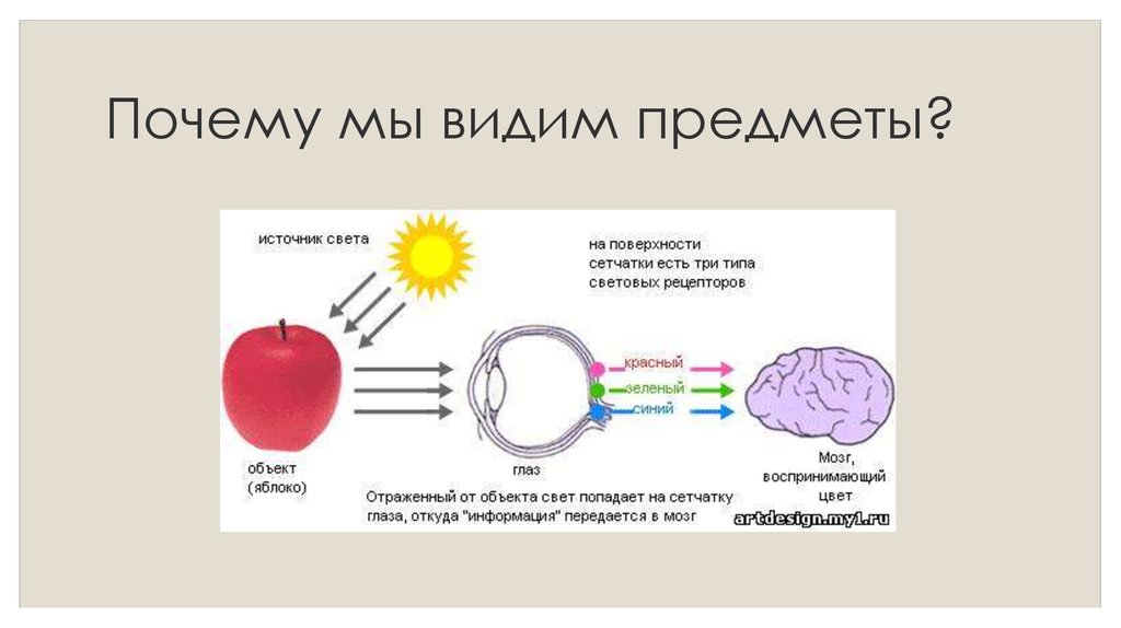 Света процесса. Почему мы видим предметы. Почему мы видим. Как мы видим предметы. Как мы видим предметы физика.