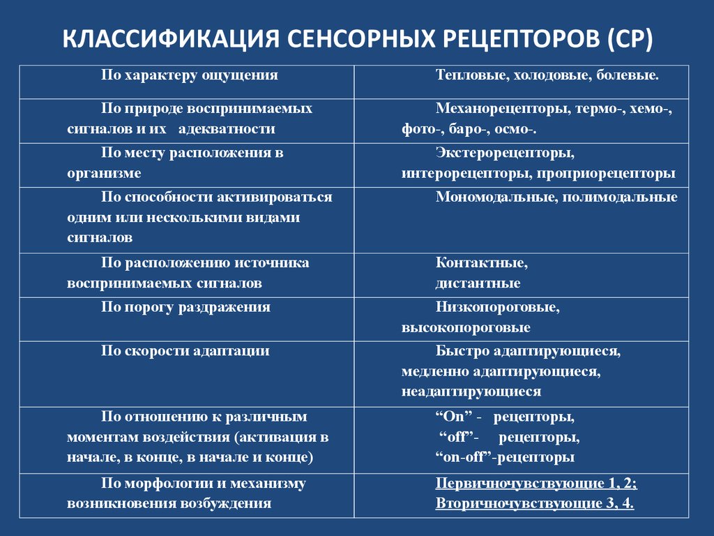 Функции рецепторов