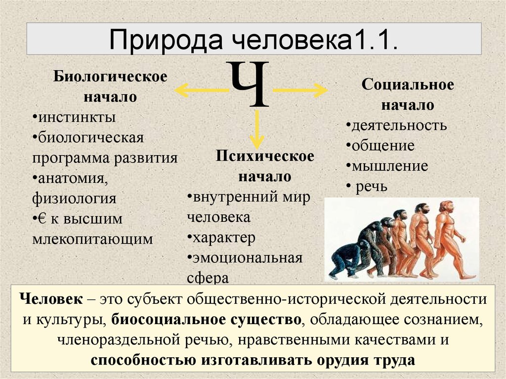 Преимущественно социальную природу. Биосоциальное и социальное в человеке. Биологическая и социальная природа человека. Человек и природа биология. Биологическая природа человека Обществознание.