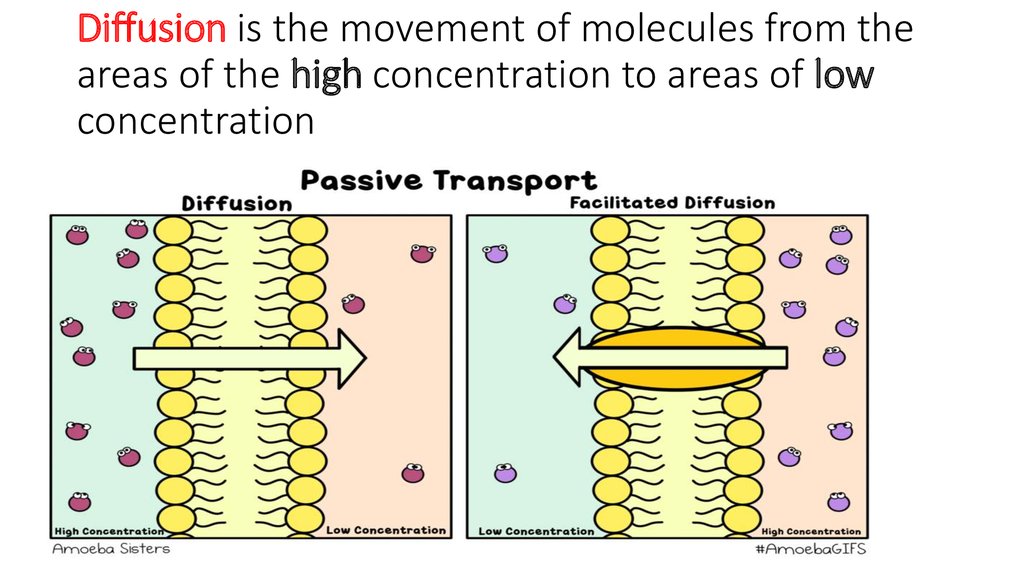 Diffusion нейросеть. Diffusion is. Lowest concentration. 