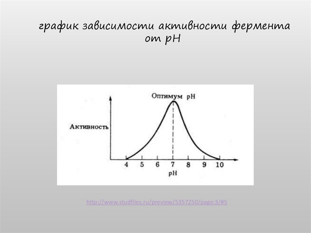 Активность фермента зависит от. График зависимости активности ферментов от РН. Зависимость активности ферментов от PH среды.