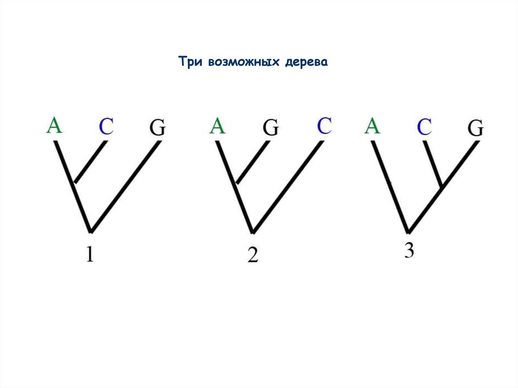 3 возможные