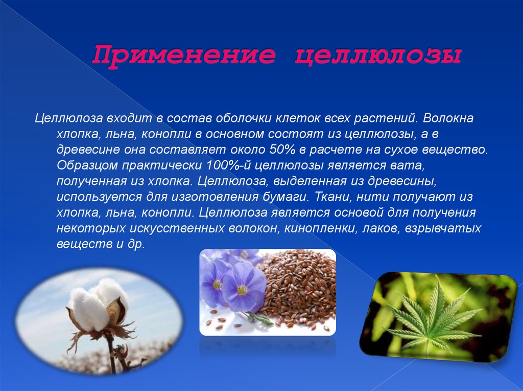 Нахождение в природе применение. Применение целлюлозы. Нахождение в природе целлюлозы. Целлюлоза в растениях. Целлюлоза Главная составная часть.