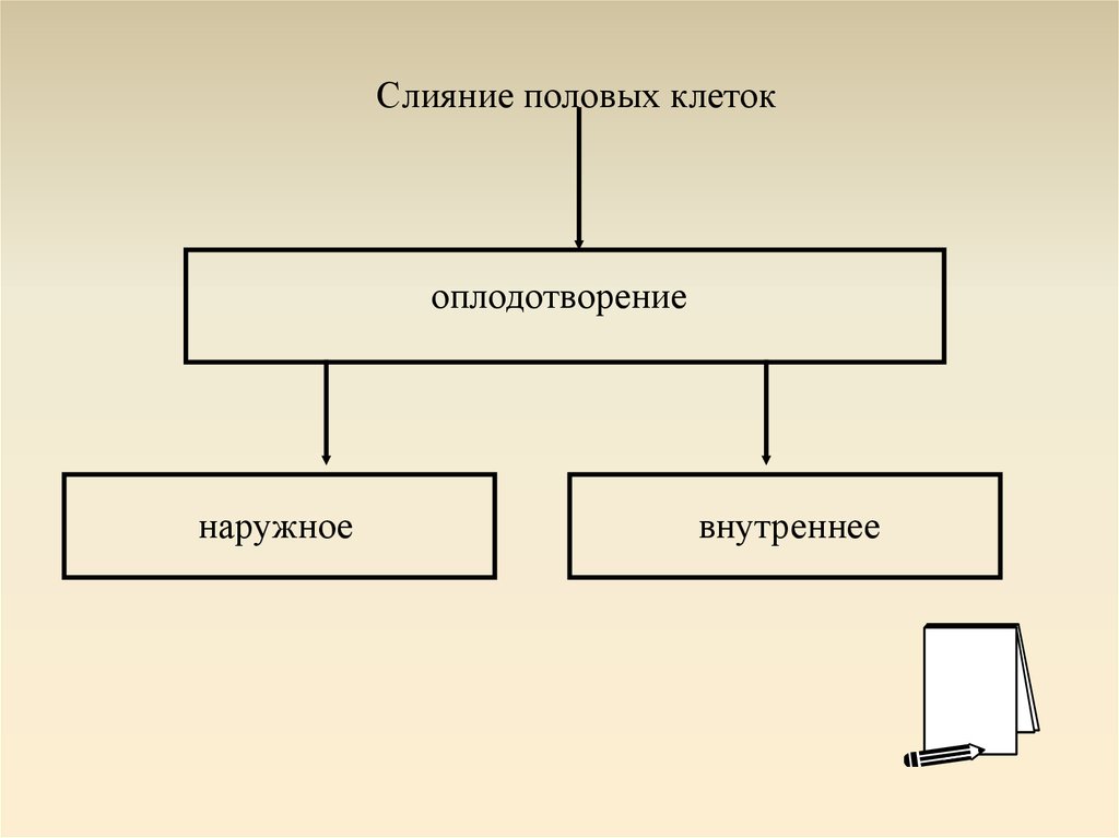 Способы размножения животных оплодотворение презентация