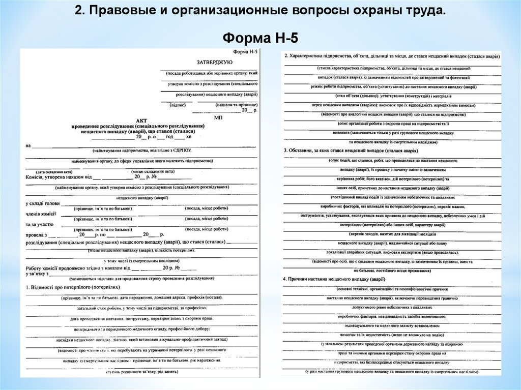 Формы н. Форма н-5. Акт н 2 охрана труда. Пропуск формы н1. Форма н1 охрана труда таблица.