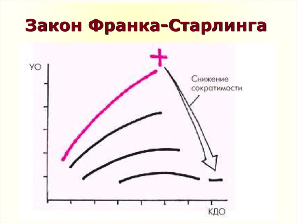 Зависимости от конечного. Гетерометрический механизм Франка Старлинга. Механизм закона Франка Старлинга. Формулировка закона Франка Старлинга. Схема Франка Старлинга.