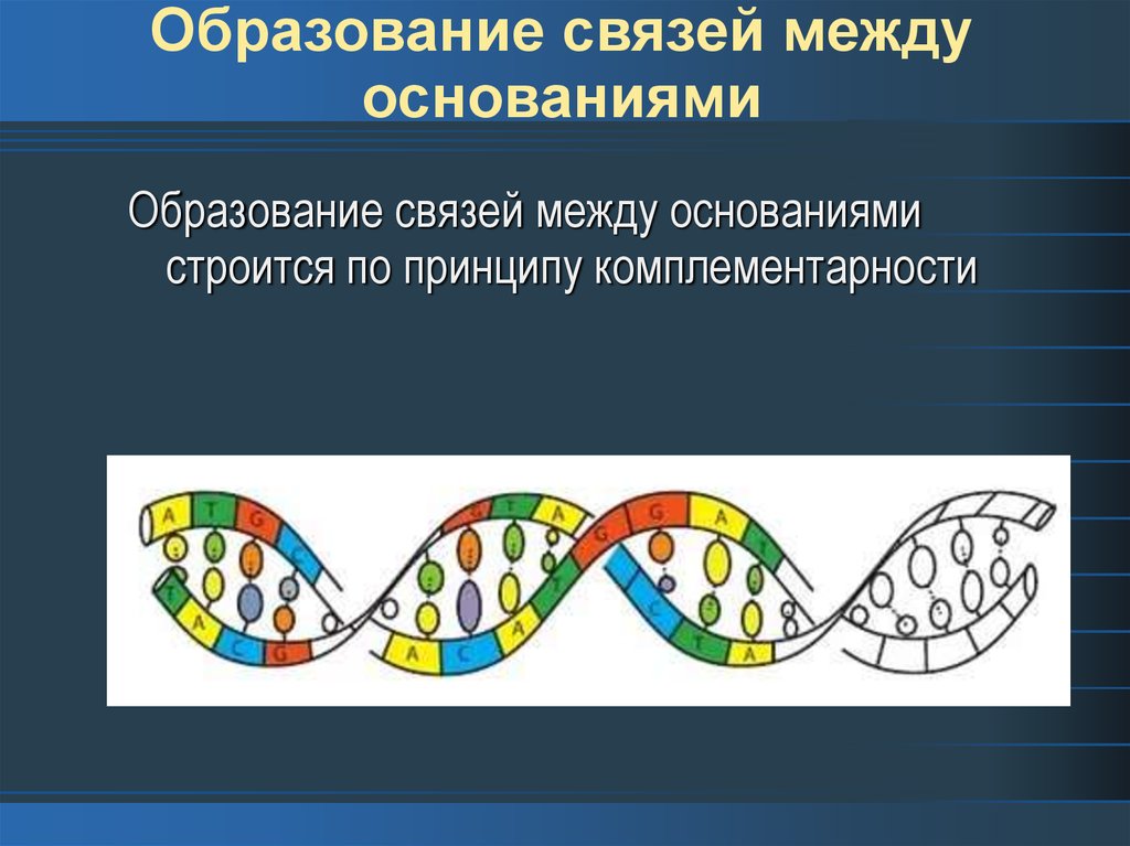 Понятие рекомбинантная дезоксирибонуклеиновая кислота презентация