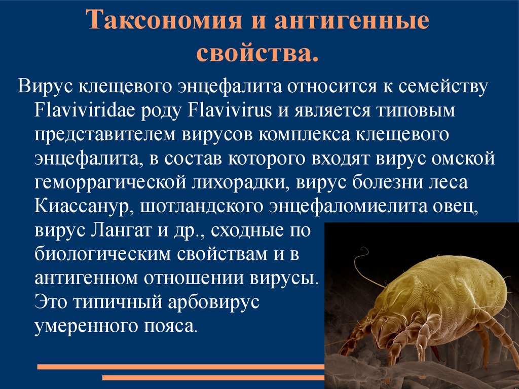 Вирус не выделен до сих пор и существует только в виде компьютерной модели