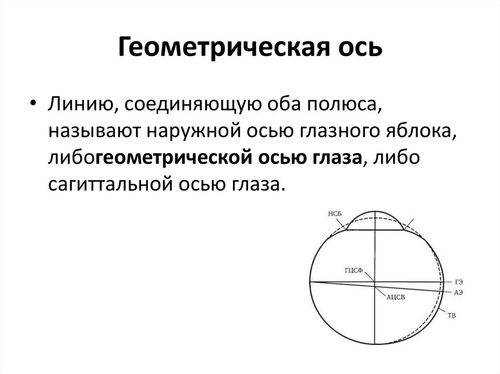 Линия соединяющая полюса