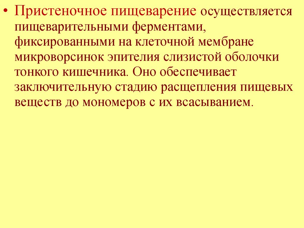 Пристеночное пищеварение. Ферменты пристеночного пищеварения. Периодическая деятельность органов пищеварения физиология. Обеспечивает пристеночное пищеварение. Осуществляет пристеночное пищеварение фермент.