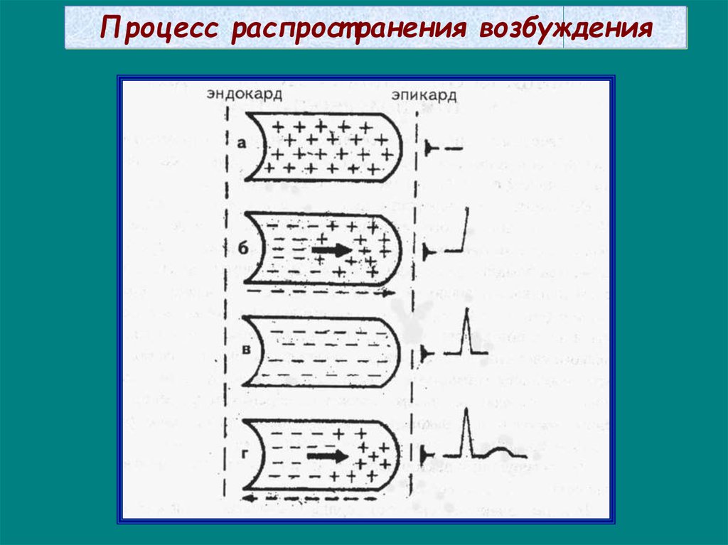 Процесс распространения