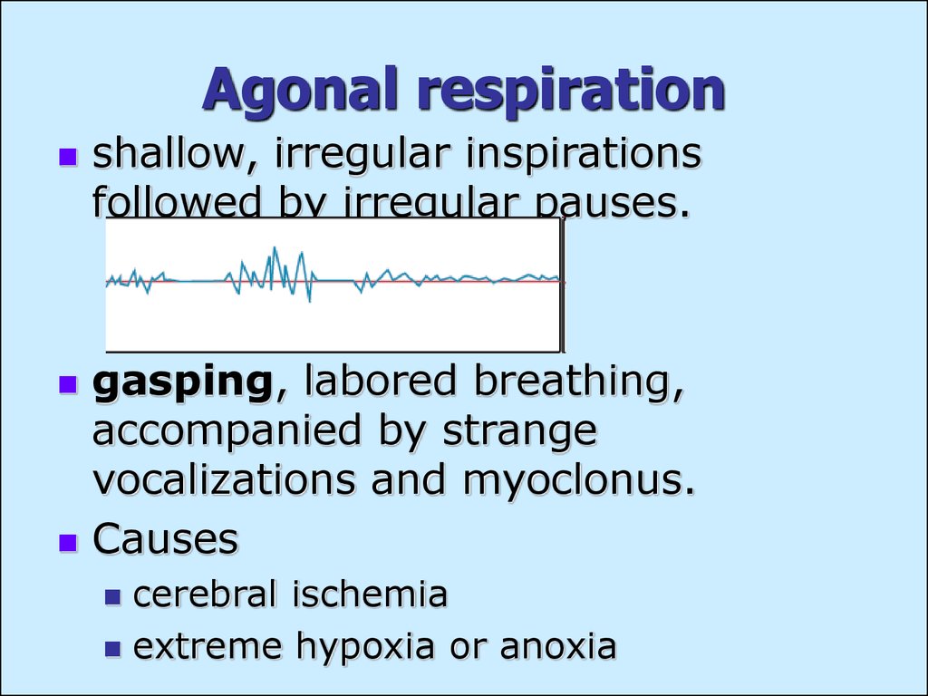 Pathology of respiration. (Subject 15) - презентация онлайн