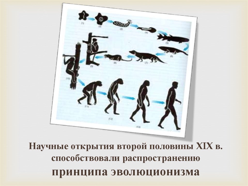 Научные открытия второй половины XIX в. способствовали распространению принципа эволюционизма