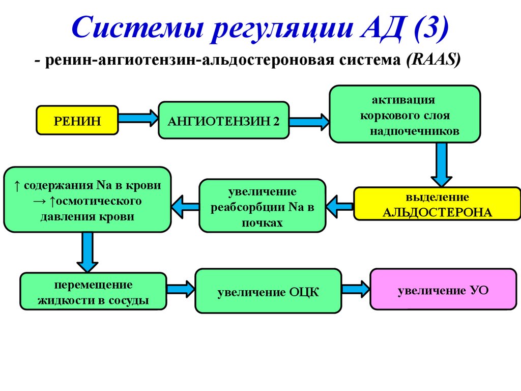 Система регуляции