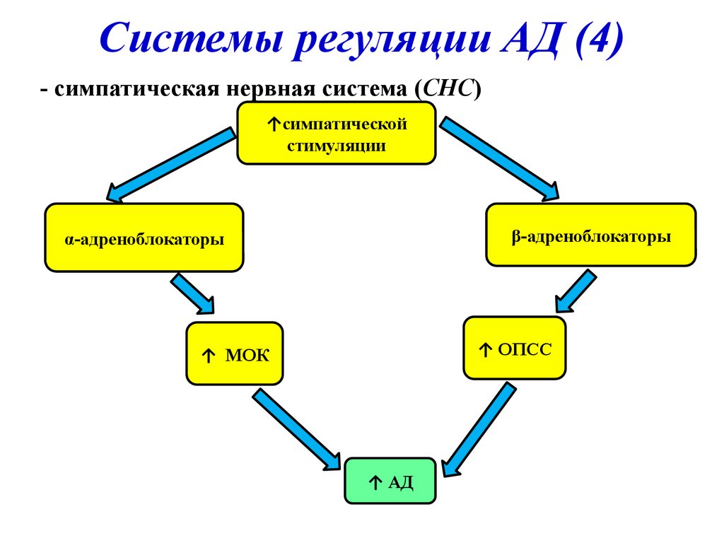 Патофизиология сосудистого тонуса презентация