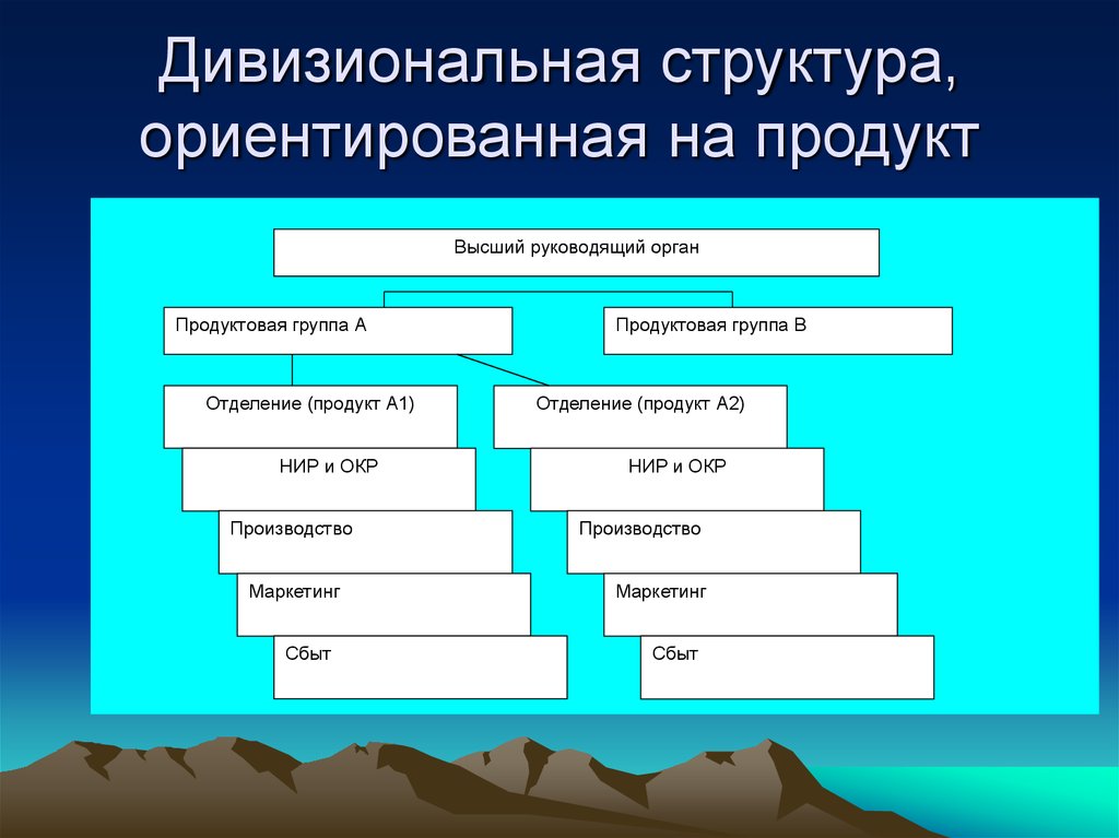 Дивизиональная структура управления проектом ориентирована на