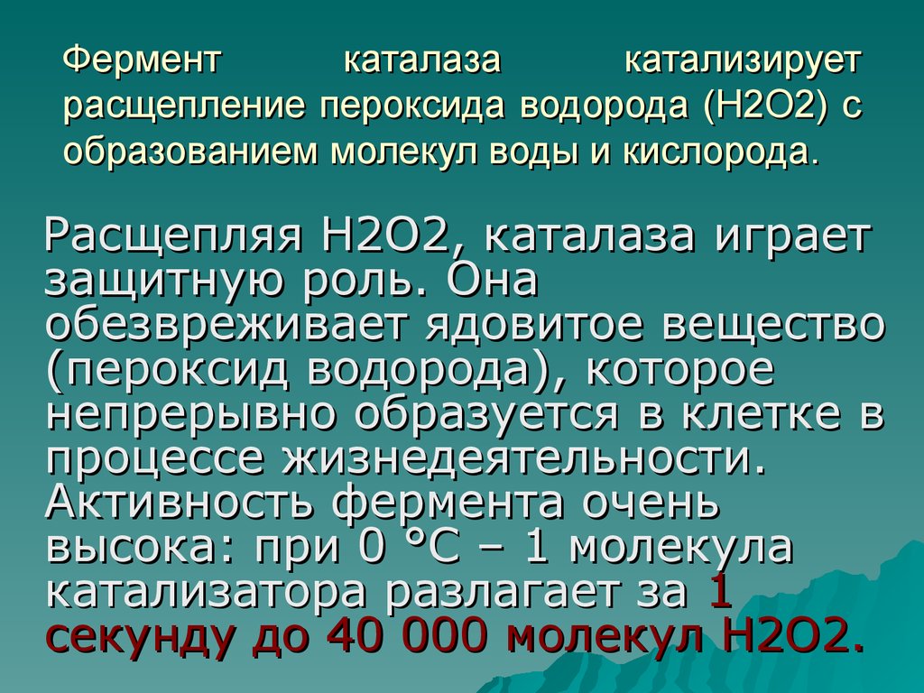 Проект ферменты 10 класс