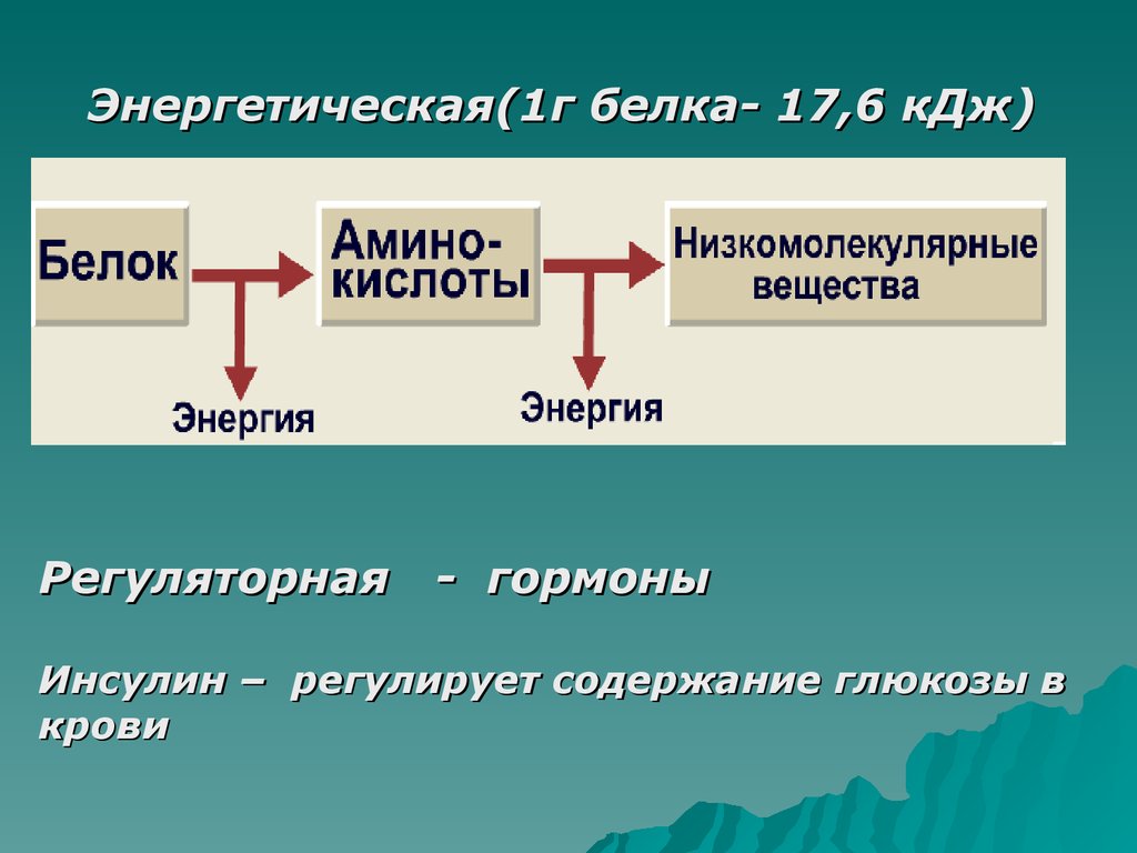 Энергетическая белка. Ферменты 10 класс. Белки ферменты гормоны. Инсулин это регуляторные белки. Ферменты , регулируемые инсулином.