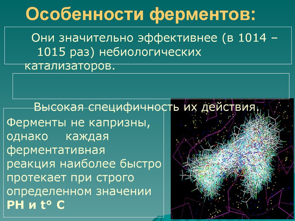 Ферменты фото для презентации