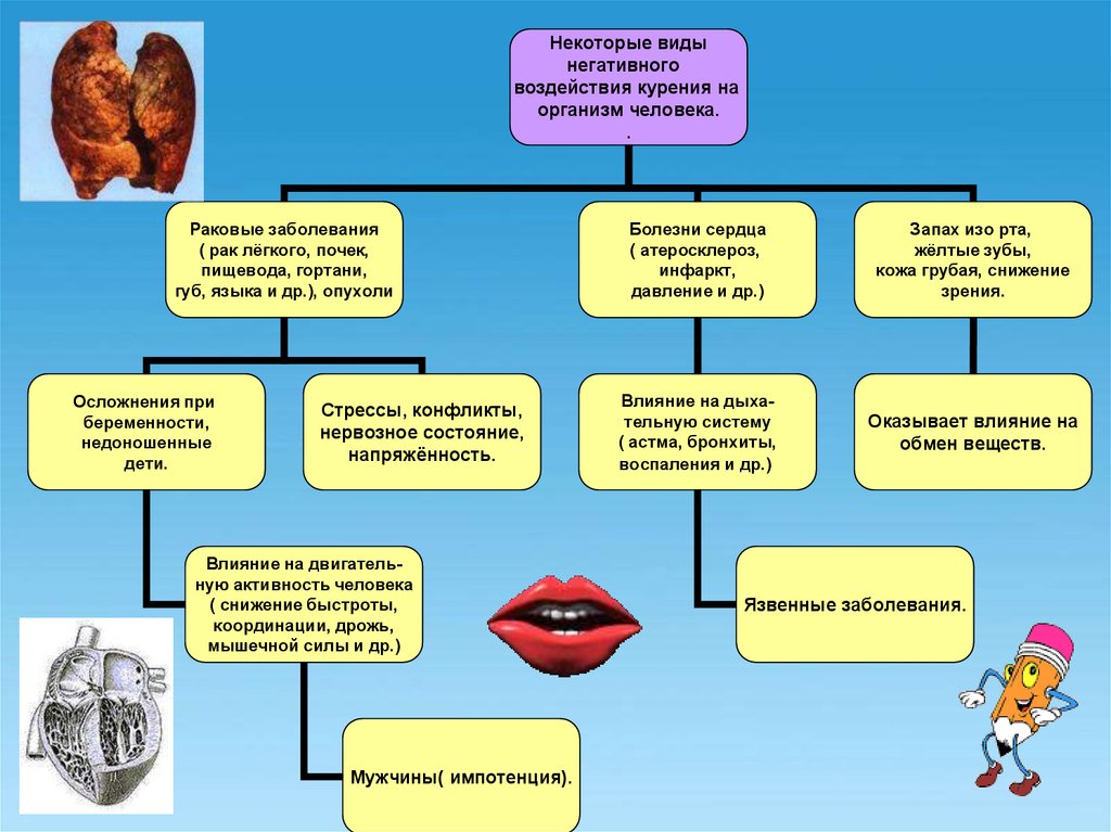 Влияние курения на человека. Влияние курения на организм человека. Воздействие табакокурения на организм человека. Влияние табакокурения на организм человека. Негативное влияние курения на организм человека.