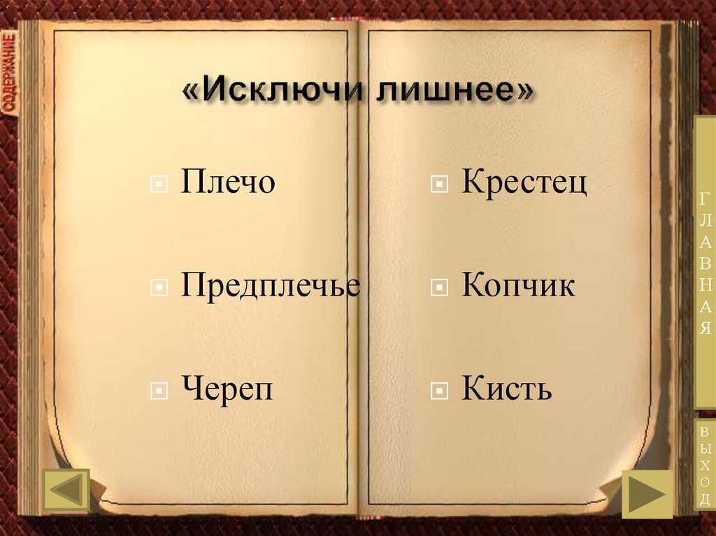 Лишнее имя. Исключи лишнее. Наркотики вычеркни лишнее. Исключи лишнее слово. Исключите лишнее из перечисленных р.