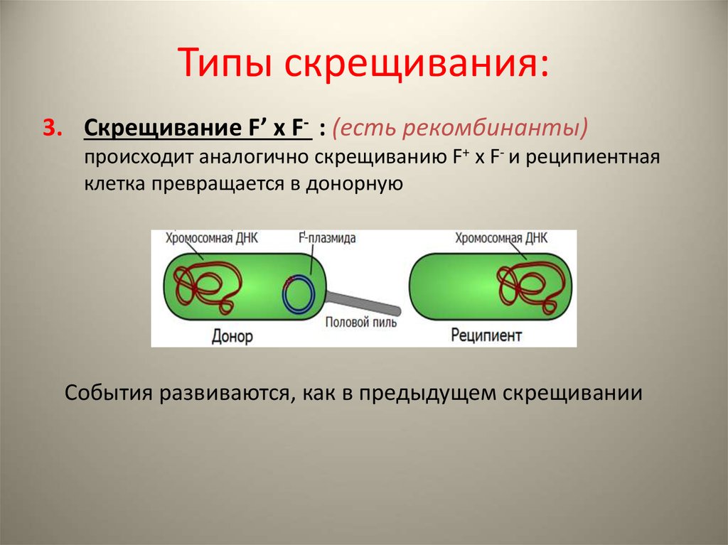 Типы скрещенные. Типы скрещивания. Типы скрещивания в генетике. Скрещивание виды скрещивания. Конъюгация бактерий.