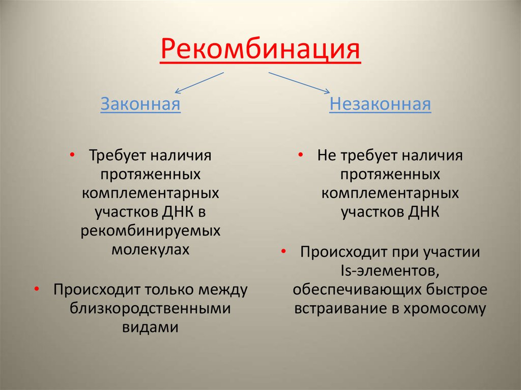 Генетический обмен. Рекомбинация. Виды рекомбинации. Рекомбинация микроорганизмов. Механизмы рекомбинации у бактерий.