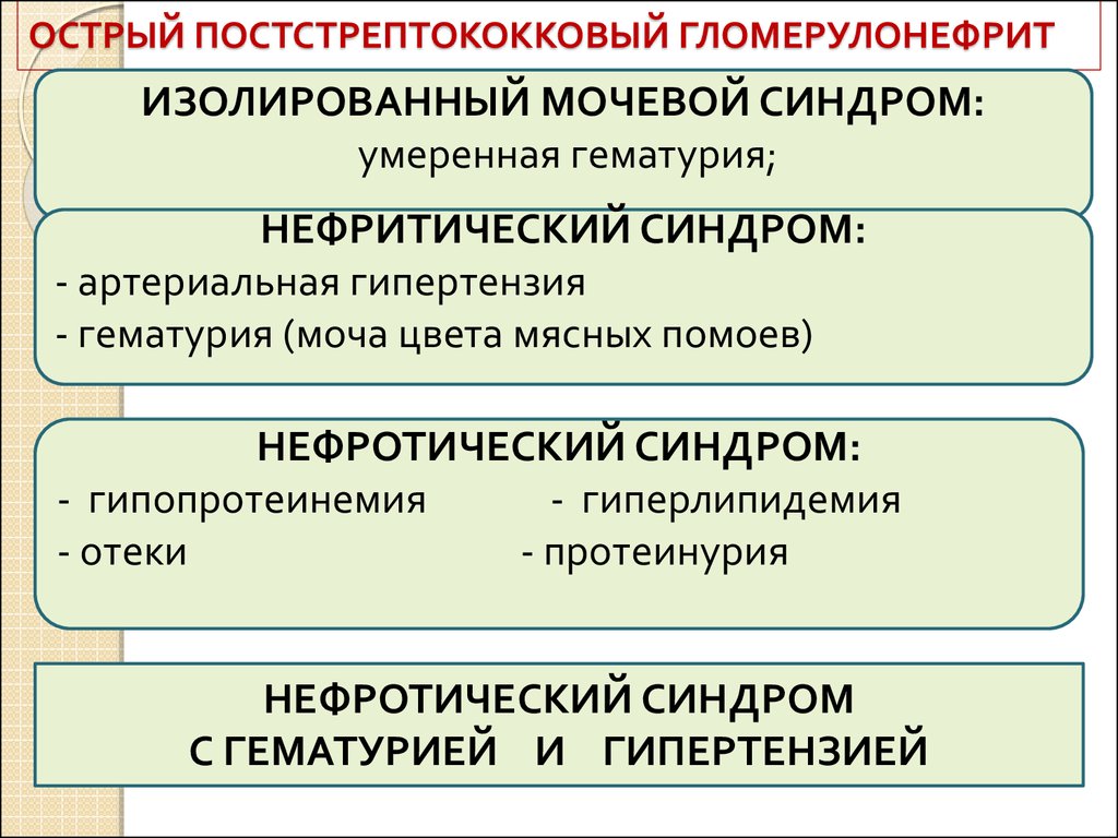 Клиническая картина острого гломерулонефрита