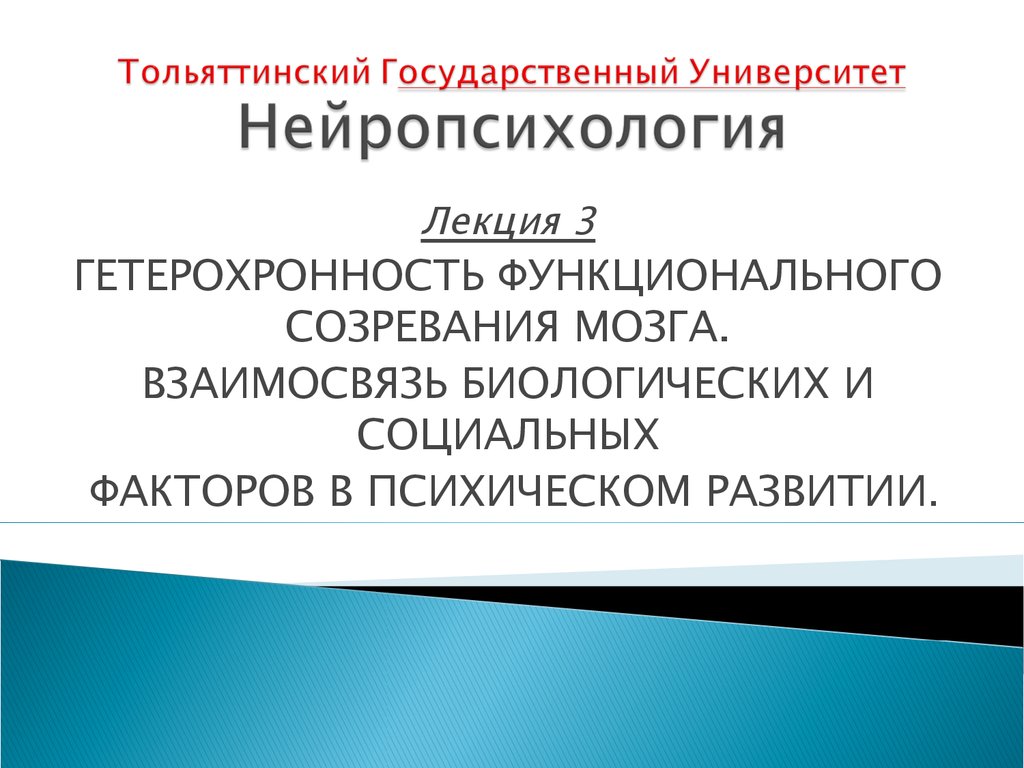 Неравномерность и гетерохронность развития презентация